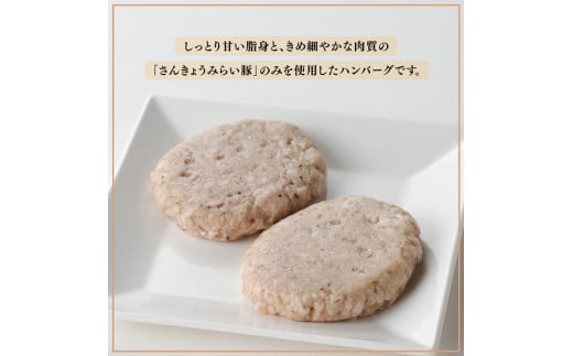 【令和8年5月発送】さんきょうみらい豚 ”ふんわりやわらか” ハンバーグセット(90g×11P、ソース200g付) 【 豚肉 国産 肉 豚 おかず 惣菜 ハンバーグ 】
