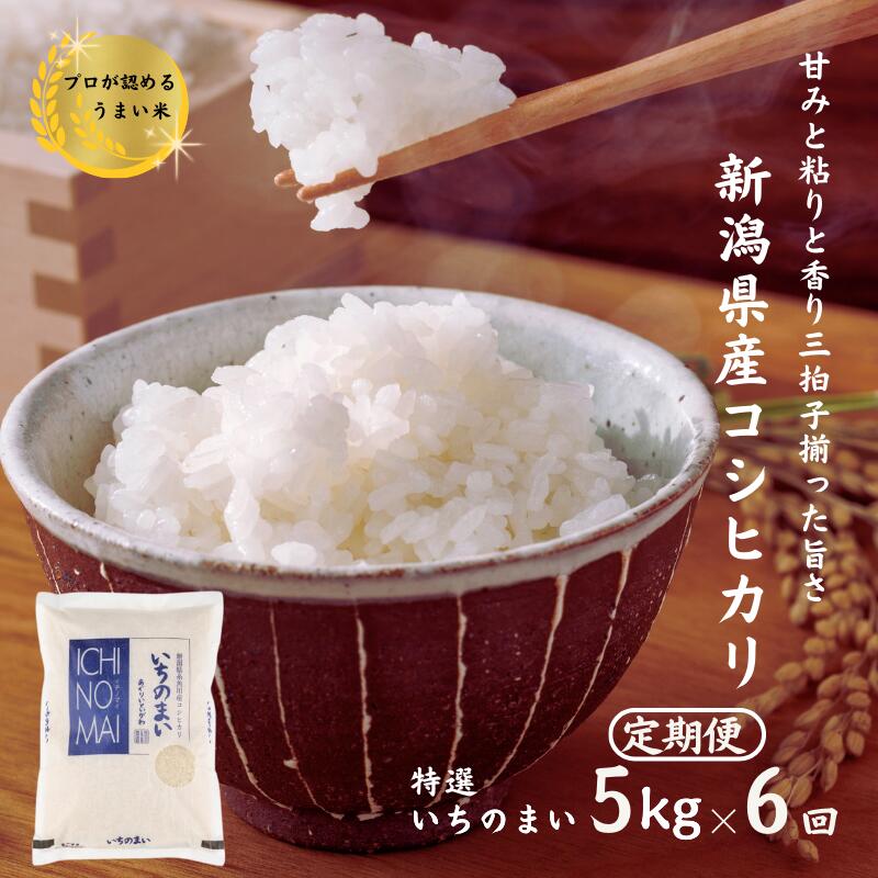 【ふるさと納税】米 コシヒカリ【令和7年産】【6ヶ月 定期便】新潟県産こしひかり『特選いちのまい』 5kg×6回 毎月お届け 計30kg 糸魚川産 清らかな湧水と澄んだ空気に育た恵みの米 プロが認めたうまい米 新潟米農家直送 おにぎり 糸魚川農業興舎あぐりいといがわ