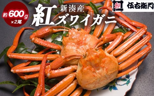 【伍右衛門】新湊産紅ズワイガニ約600g×2尾｜ずわい蟹 ずわいガニ 紅ずわいがに 紅ズワイガニ カニ 蟹 かに かにしゃぶ カニしゃぶ 蟹しゃぶ かに鍋 カニ鍋 蟹鍋 かに味噌 カニ味噌 かにみそ 魚貝類 魚介類 ボイル 海鮮 ズワイガニ 茹でたて 新鮮 国産 富山県産 富山湾 北陸 ※離島への配送不可 ※2025年10月上旬～2026年3月下旬頃 ※発送まで1か月以上かかる場合があります。