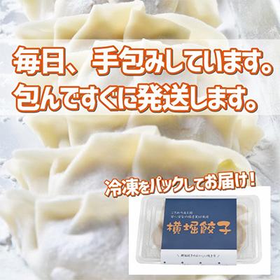 ふるさと納税 三郷市 【国産素材】自家製モチモチ皮の手包み餃子(黄金色のカレー・風味抜群のエビ・やさしい横堀餃子)30ヶ |  | 03