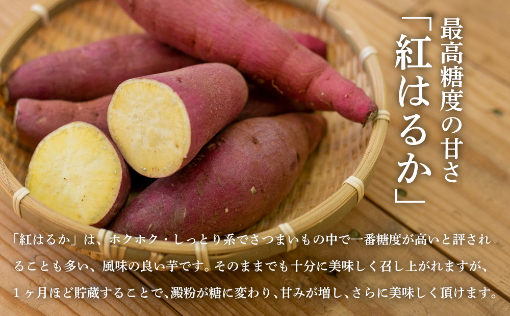 ★10月発送開始★ 鹿児島県産生さつまいも 「紅はるか」約5kg さつまいも 焼き芋 さつま芋 甘藷 サツマイモ べにはるか スイーツ JA 南さつま市