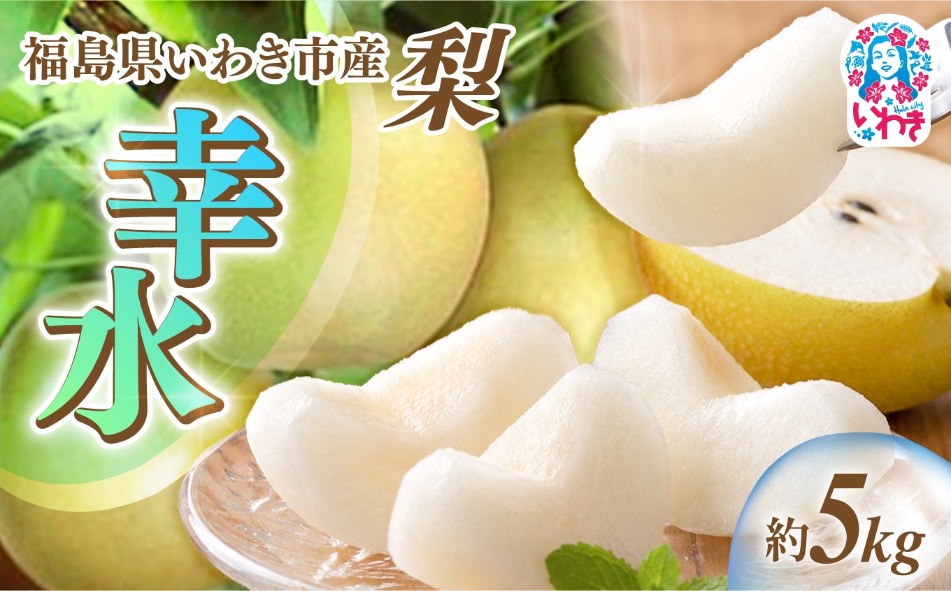 
                  【先行予約】福島県 いわき市産 梨 ( 幸水 )  約 5kg | 梨 幸水 いわき市産 岡田梨園 約5kg 先行予約 期間限定 果物 フルーツ 和梨 国産 新鮮 産地直送 甘い ジューシー 瑞々しい シャキシャキ 秋の味覚 数量限定 送料無料 フレッシュ 季節限定 | ON001
                