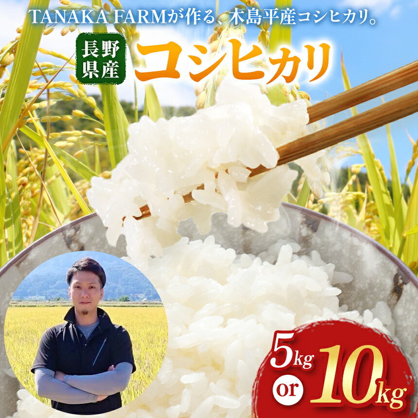 【ふるさと納税】木島平村産 こしひかり 5kg、10kg 選べます TANAKA FARM | 米 こしひかり コシヒカリ 定番 品種 寒暖差 木島平村 長野県 信州