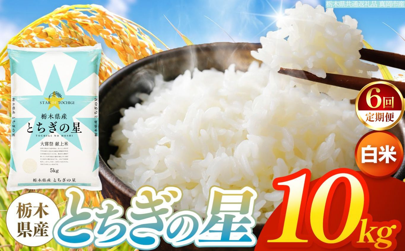 【令和8年産 新米】 【定期便6回】栃木県産 お米 とちぎの星　（白米） 10kg 【2026年秋以降発送】 |  栃木県 矢板市 【栃木県共通返礼品 真岡市産】