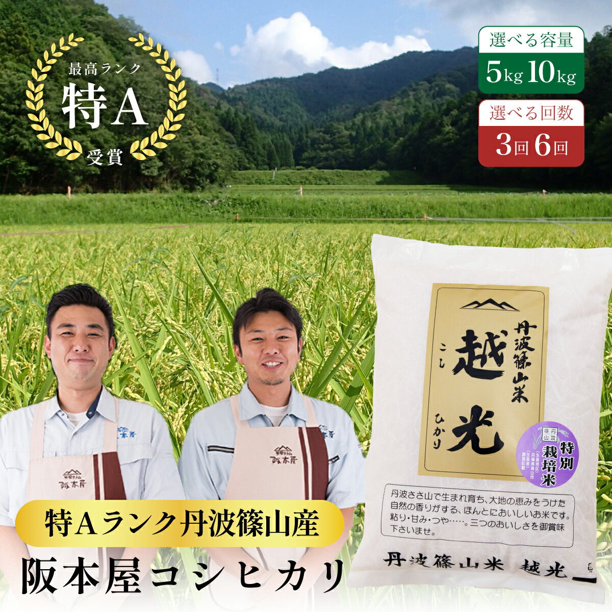 【ふるさと納税】〈定期便 特Aランク〉令和7年産 丹波篠山産 特A コシヒカリ 越光 【5kg 10kg 3回 6回】 | 丹波篠山 お米 おこめ ブランド米 ごはん ご飯 白米 米 コメ こめ 精米 精白米 おいしい米 美味しいお米 兵庫県 お取り寄せ こしひかり コシヒカリ