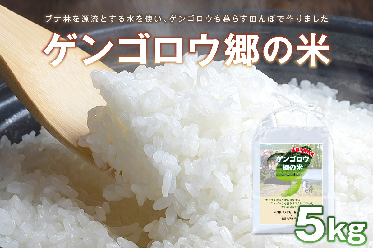 
            【先行予約】龍谷大学と共同開発／2025年産　京丹後産生物多様性米コシヒカリ「ゲンゴロウ郷の米」5kg箱入　CM00005
          