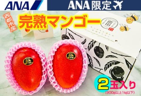 【ANA限定】西都市産完熟マンゴー2玉（900ｇ～1ｋｇ）薗田農園＜1.5-148＞