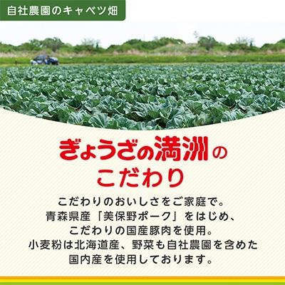 ふるさと納税 坂戸市 【2025年10月中旬発送】冷凍生餃子10パック(120個)　ぎょうざの満洲 |  | 02