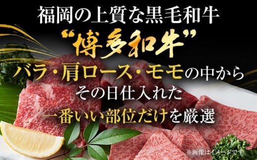 博多和牛焼肉用 500g 黒毛和牛 お取り寄せグルメ お取り寄せ お土産 九州 福岡土産 取り寄せ グルメ MEAT PLUS CP019