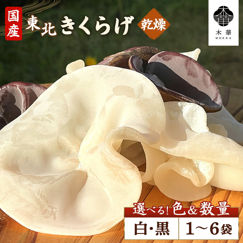 【ふるさと納税】【選べる色＆数量】《国産》東北きくらげ【木華（もっか）】 | 乾燥 食物繊維 カルシウム ビタミンD ミネラル 低カロリー ヘルシー スーパーフード 農薬不使用 食感 肉厚 コリコリ シャキシャキ CONCO お取り寄せ 宮城県 白石市 白石