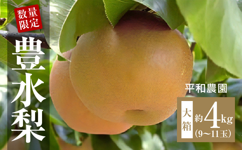 
            M32-0002_【【配送不可地域：北海道・沖縄県・離島】 数量限定 豊水梨 梨 大箱 9〜11玉 約4kg 平和農園 国産 フルーツ 果物 季節 旬 高糖度 スイーツ フルーツ王国 デザート もぎたて 香川県 三豊市産 産地直送 食品 送料無料 お取り寄せ お取り寄せグルメ 
          