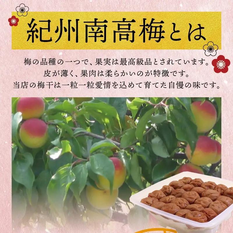 【贈答用】紀州南高梅 食べ比べセット 500g×2　（はちみつ・優梅）【inm900-2C】