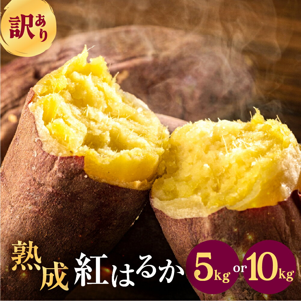 【ふるさと納税】先行予約 訳あり さつまいも 5kg / 10kg サイズ無選別 紅はるか サツマイモ 熟成 焼き芋 スイートポテト 野菜 田原市 渥美半島 大きさ不揃い