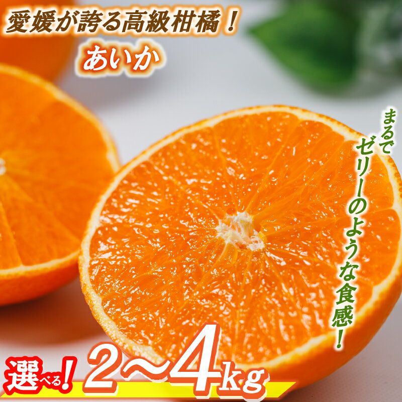 【ふるさと納税】【数量限定】 高級 みかん あいか 2kg / 3kg / 4kg ＜11月中旬〜発送＞ 愛果28号 愛媛果試第28号 紅まどんな と同品種 まどんな 柑橘 柑橘類 高級みかん 産地直送 フルーツ 果物 くだもの 人気 おすすめ 愛媛県 松山市 送料無料