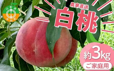 【ご家庭用】令和8年産 先行受付 農家直送「白桃」約3kg(6～11玉) 品種おまかせ 山形県 中山町 F4A-0471