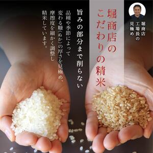 新潟産コシヒカリ 5kg 米 精米
