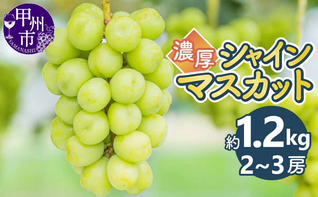 
                  濃厚シャインマスカット人気の約1.2kg（2～3房）【2026年発送】（KKK）B-832【シャインマスカット 濃厚 葡萄 ぶどう ブドウ 令和8年発送 おためし 期間限定 山梨県産 甲州市 フルーツ 果物】
                