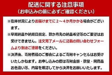 ステンレス物干し竿（ハンガー掛付ジョイントタイプ）SU-300HJ（3ｍ）ブルー アイリスオーヤマ