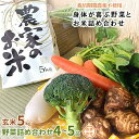 【ふるさと納税】【玄米5kg】栽培期間農薬不使用『身体が喜ぶ野菜とお米』詰め合わせ(おまかせ)潮来はぐくみのもり【配送不可地域：離島】【1068675】