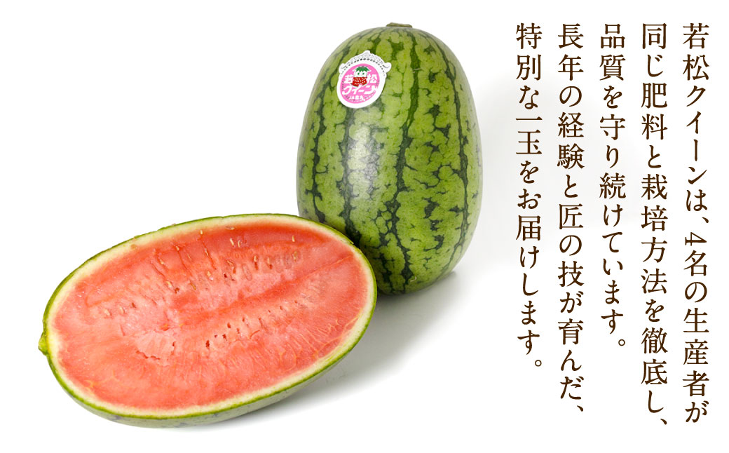 福岡県 北九州市 若松産 【優等品】 若松クイーン 約4kg以上 (約2kg以上2玉入り) 【2026年7月上旬から8月上旬発送予定】すいか スイカ フルーツ 果物 くだもの