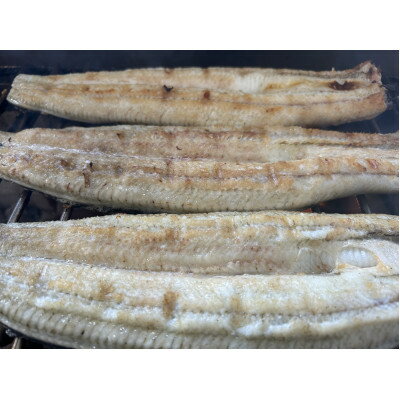 【ふるさと納税】【国産うなぎ】大サイズ140g -170g　鹿児島産　10尾 炭火蒲焼き(タレ付き)【配送不可地域：離島】【1659344】