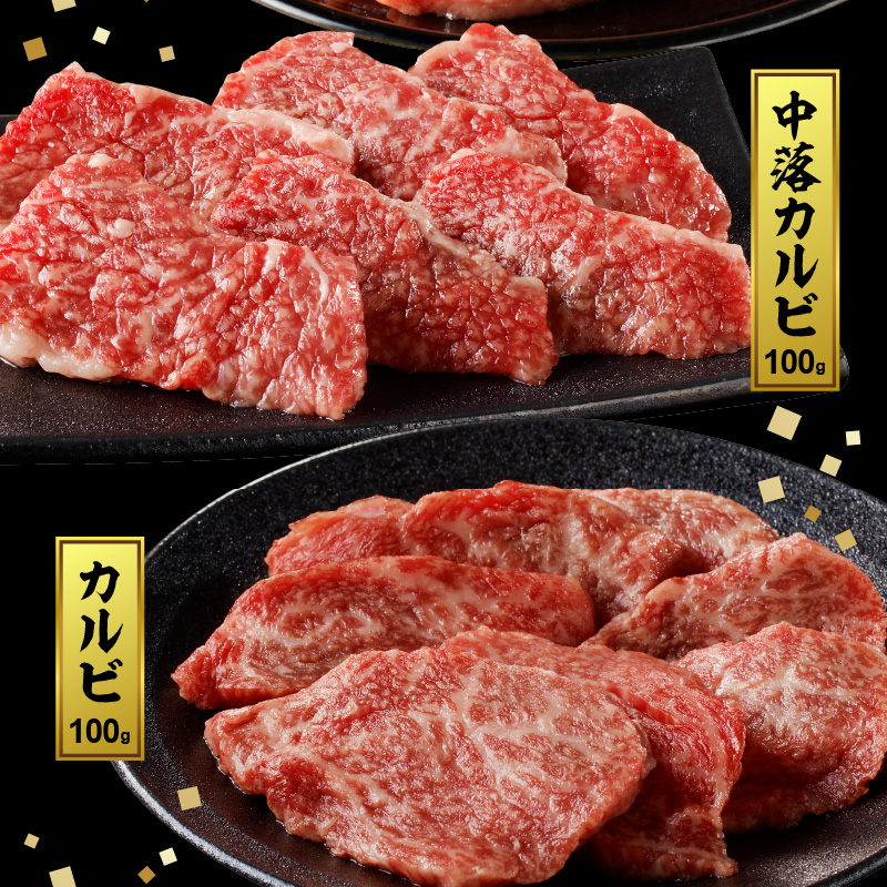 宮崎牛焼肉食べ比べ6種盛600g N0140-ZB237