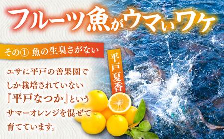 ヒラマサ 半身 平戸なつ香 ヒラス 約1kg【（株）坂野水産】[KAA207]/ 長崎 平戸 魚介類 魚 ヒラス ひらす 内臓処理済 レシピ ヒラマサ ひらまさ 刺身 たたき 刺身 塩焼き 刺身 漬け