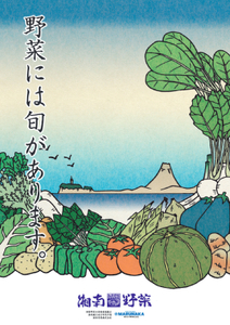 野菜セット 旬の湘南野菜おまかせセット※10月1日以降のお申込みについては12月以降順次発送予定