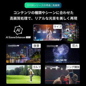 TVS REGZA【標準設置費込み】4K Mini LED液晶テレビ REGZA ( レグザ ) Z970Rシリーズ 65V型 [ 4Kチューナー内蔵 / YouTube対応 ] 65Z970R 【 