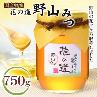 ふるさと納税 広川町 野山みつ　750g(広川町)