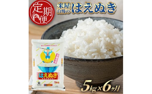 ≪6ヶ月定期便≫ はえぬき 精米 5kg×6ヶ月連続 合計30kg 山形県産 毎月下旬頃お届け 酒田市 お米 白米 ごはん 連続定期便 東北食糧 HACCP TO　SI0074