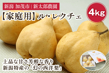 【2026年先行予約】【家庭用】幻の洋梨 ル・レクチェ4kg（10～14玉） 《11月下旬から順次発送》 果物 フルーツ 家庭用 加茂市産ル・レクチェ 梨 西洋梨 加茂市 新太郎農園