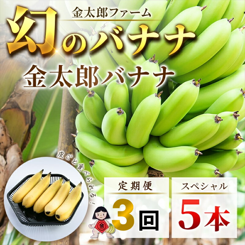 【ふるさと納税】定期便：スペシャル 金太郎バナナ（15本） 5本×3回（毎月お届け） 栽培期間中農薬不使用 【国産 ギフト プレゼント 贈り物 お返し おいしい 金太郎バナナ 果物 くだもの フルーツ お歳暮 お中元 】