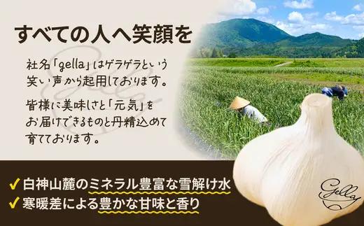 あきたしらかみにんにく 冷凍ペースト 1kg（約200g×5袋）　60P3218【 gella】