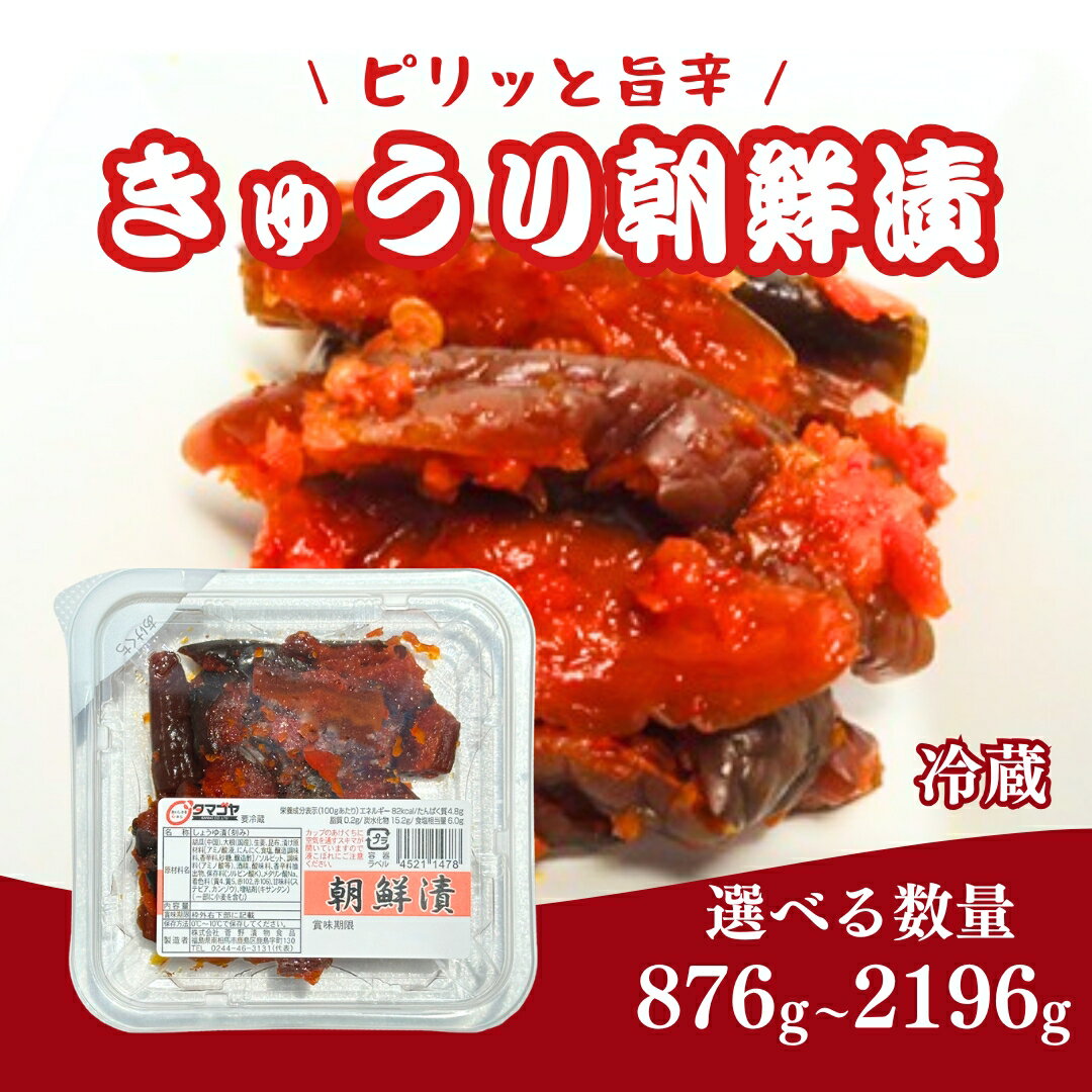 【ふるさと納税】生カップきゅうり朝鮮漬 (タマゴヤの朝鮮漬)(選べる容量 6パック/12パック/ジャンボ6パック) | キムチ きゅうり 漬物 詰め合わせ ギフト 贈り物 贈答品 おかず香の蔵