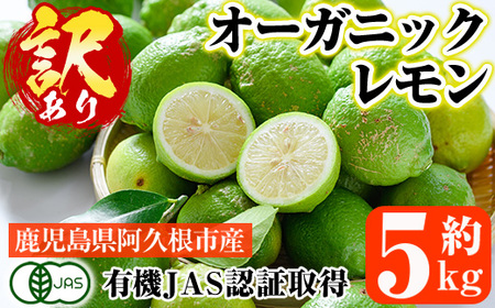 ＜先行予約受付中！2025年9月以降発送予定＞数量限定！有機JAS 訳ありオーガニックレモン(約5kg) 国産 訳あり レモン 檸檬 果実 果物 フルーツ 柑橘 デザート 期間限定 有機栽培 健康志向 【中村農場】akn084-02