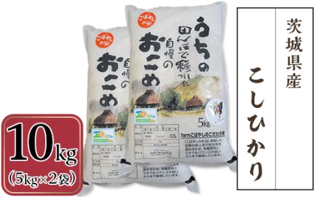 茨城県産こしひかり10kg（5kg×2袋）２週間以内発送【米 こしひかり 米 茨城 米 茨城県産 米 産地直送 米 特別栽培米 JA おにぎり お弁当 精米 ストック お米 もちもち 人気 おすすめ】