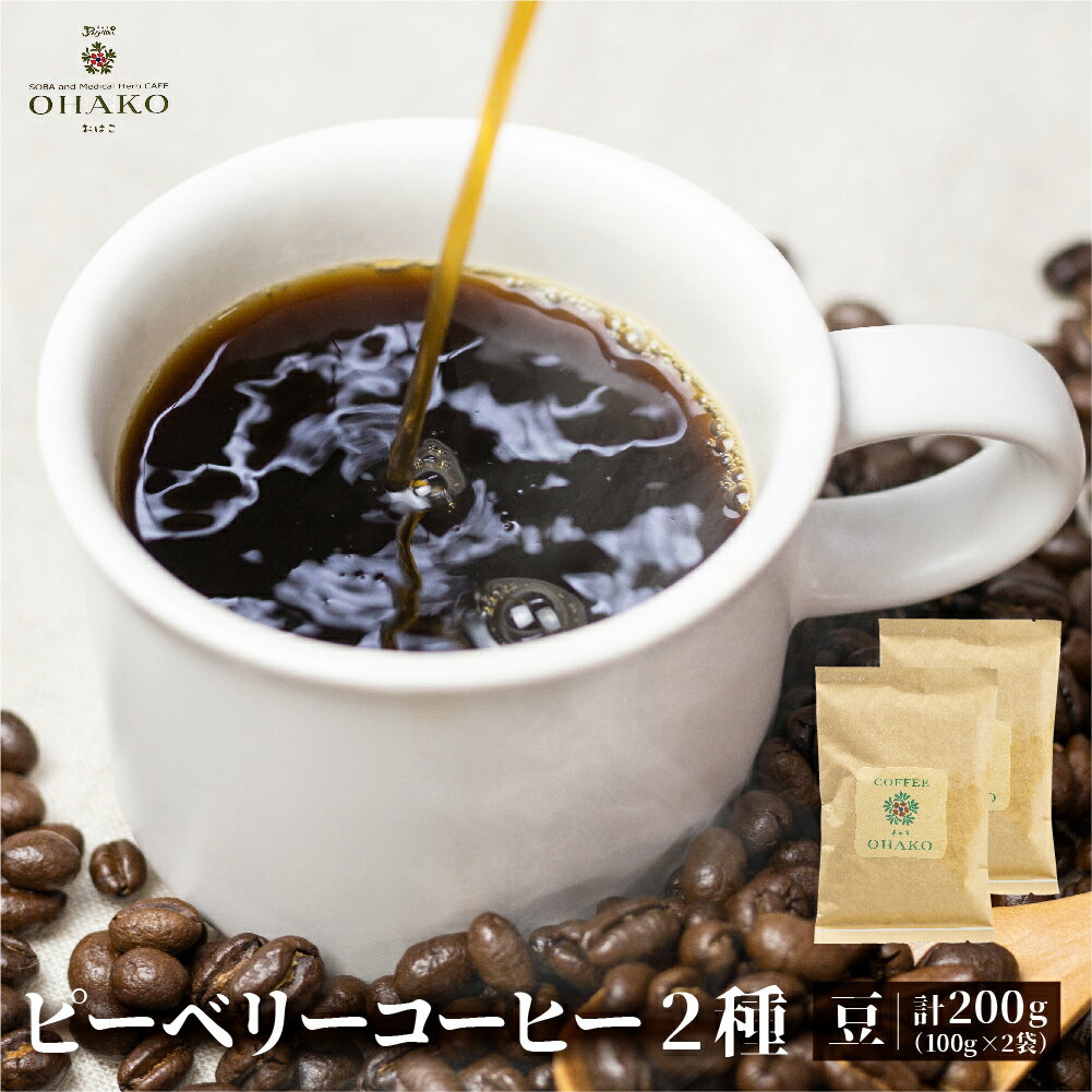 【ふるさと納税】コーヒー豆 人気2種飲み比べ 珈琲豆 ブラジルショコラ・OHAKOブレンド 各100g2袋 計200gQ2810]《hida0307》