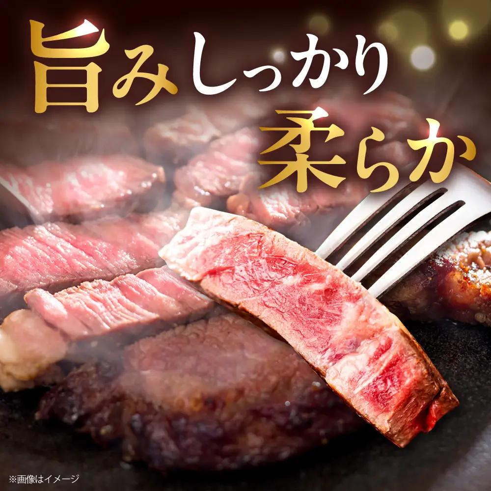 【全6回定期便】訳あり 博多和牛  一口ステーキ 計600g [BGBY072] ステーキ 6回