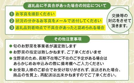 日時指定可能！旬のお野菜セット（サイズ大）【全２回定期便】