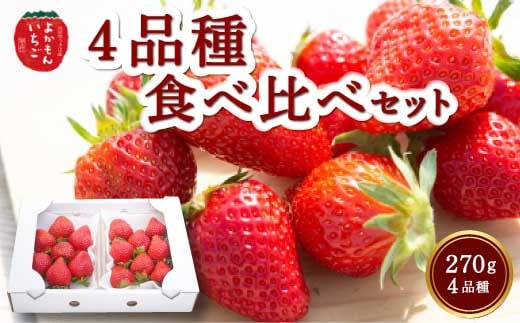 よかもんいちご 4品種食べ比べセット 2025年1月2日から1月31日 出荷予定