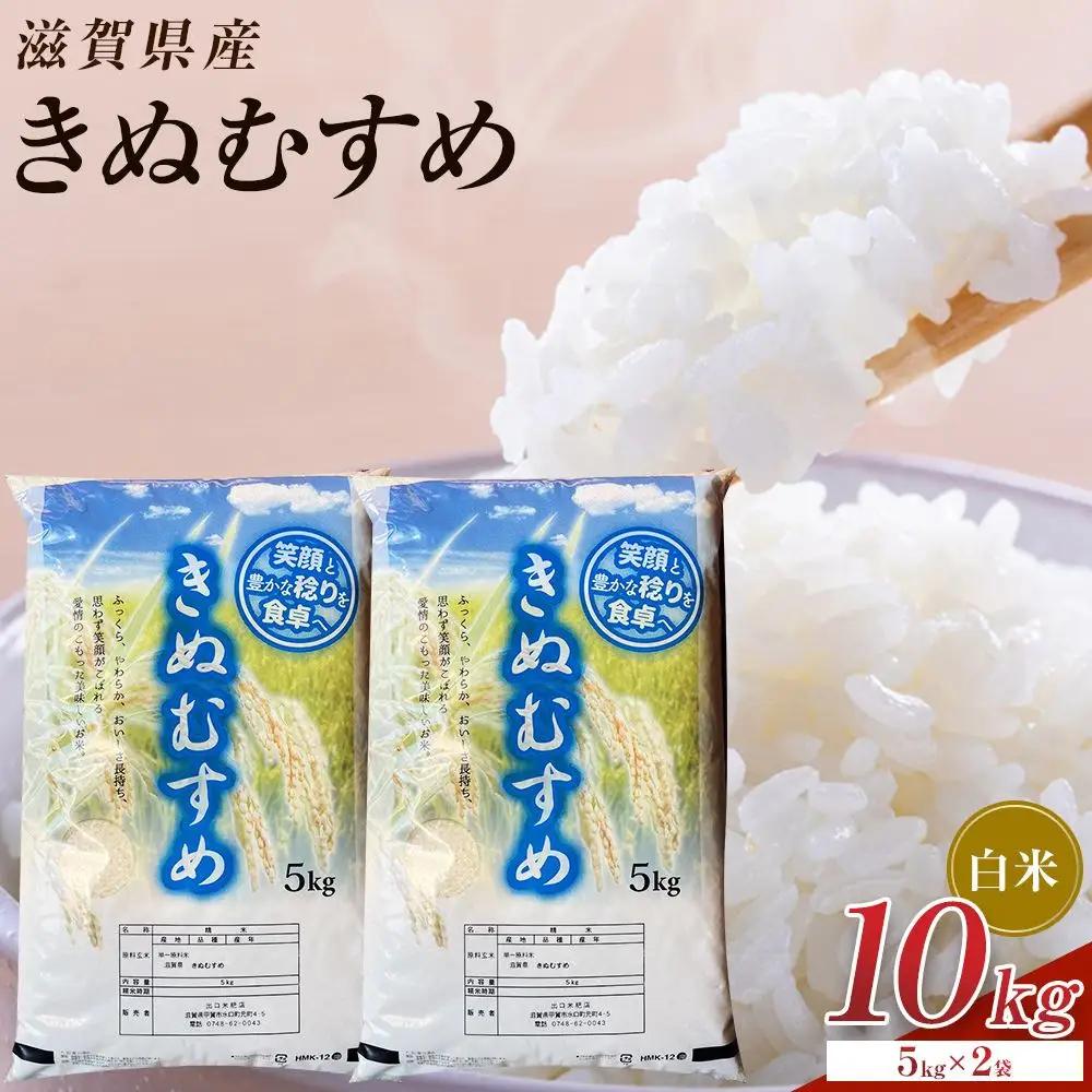 【令和8年産 新米】近江米きぬむすめ白米10kg（5kg×2袋）