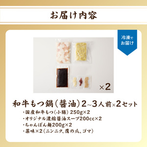 国産和牛もつ鍋（醤油味）2～3人前×2セット ／ もつ鍋【B068】
