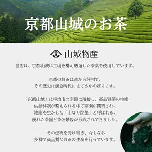 煎茶 ティーバッグ 100パック 国産 お茶 おちゃ 茶 飲料 日本茶 煎茶ティーバッグ 京都 和束町