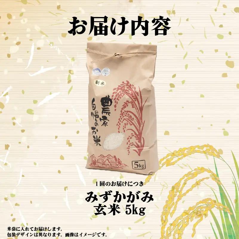 【先行予約】令和8年産 新米 みずかがみ 5kg 定期便 3ヶ月 玄米 米