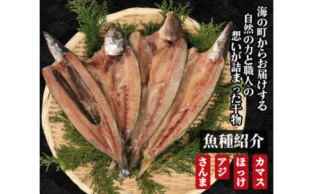 訳あり 干物 約2.5kg ひもの 詰め合わせ 干物 セット 干物 干物 干物 干物