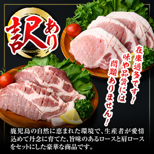 isa684 【定期便3回】〈訳あり〉鹿児島黒豚定期便(合計2.52kg・840g×全3回)  真空包装 真空パック トンカツ ロース 肩 トンテキ 豚 ぶた 豚肉 アウトドア 食べ比べ BBQ 【サ