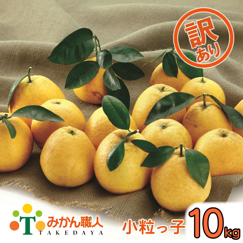 【ふるさと納税】 訳あり 河内晩柑 小粒っ子 10kg 小玉 柑橘 国産 愛媛 果物 フルーツ 特産品 みかん職人武田屋 河内晩柑 ふるさと納税 河内晩柑 みかん 小玉 おいしい ビタミン 傷 家庭用 先行予約 発送期間: 2026年3月下旬〜 (なくなり次第終了)