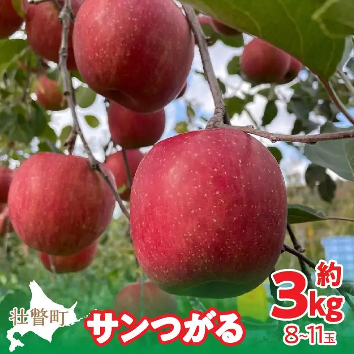 【先行予約】北海道壮瞥町産りんご「サンつがる」約3kg(8～11玉)＜2026年9月下旬よりお届け＞ SBTF001