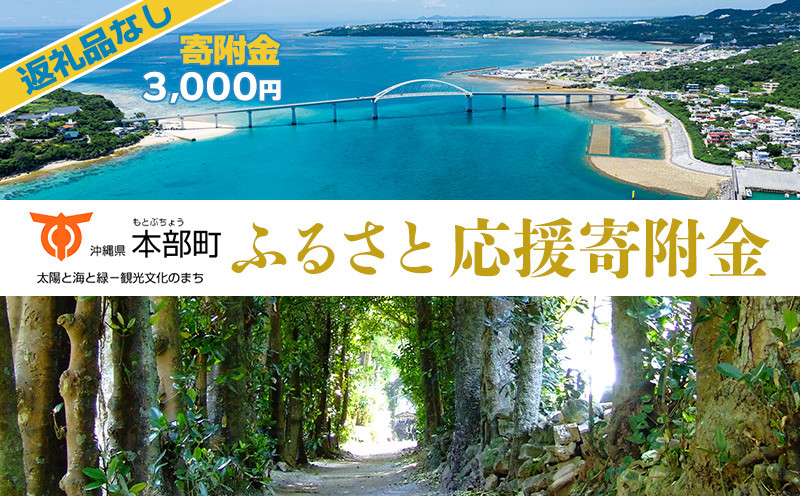 
【返礼品なし】沖縄県本部町ふるさと応援寄附金 3000円 寄附のみの応援 寄附のみ 返礼品なし 返礼品無し　御礼品なし　御礼品無し
